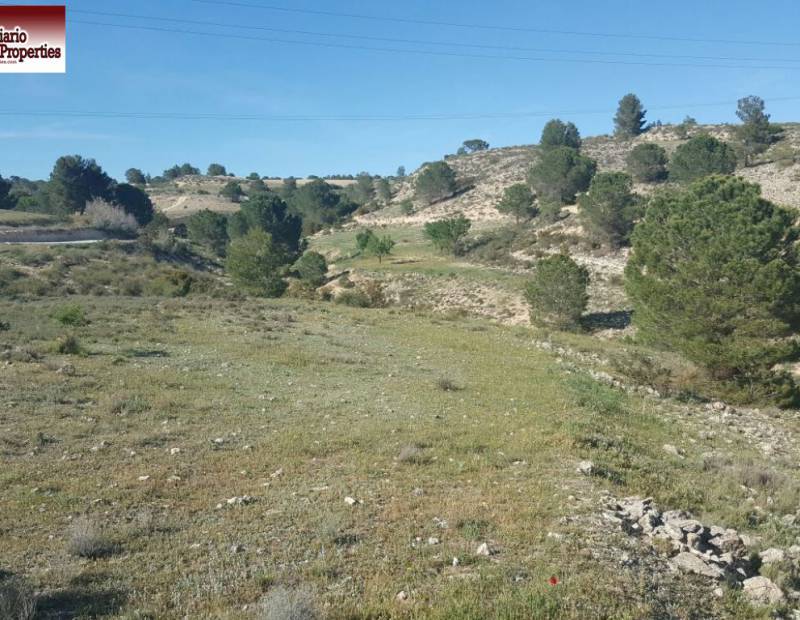 Rental - Plot of land - Albacete