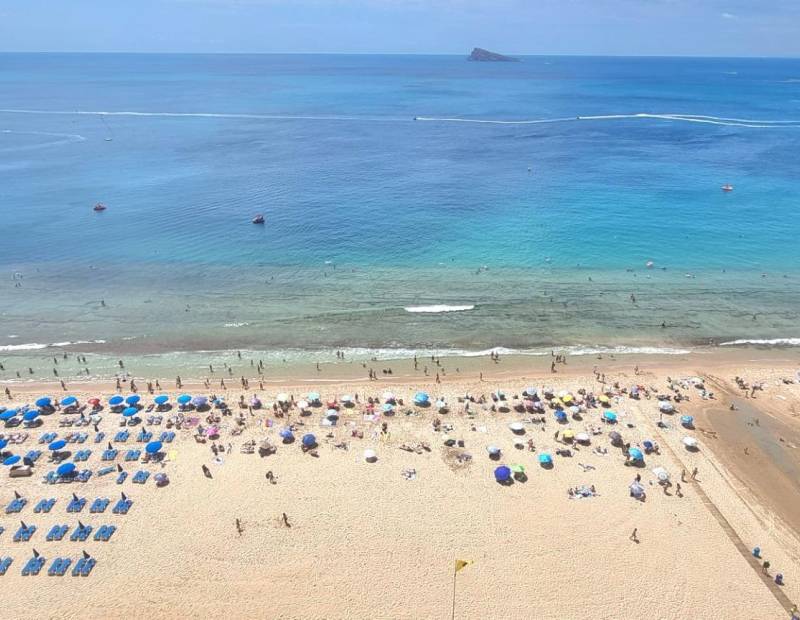 Venta - Estudio - Avenida del Mediterraneo - Benidorm