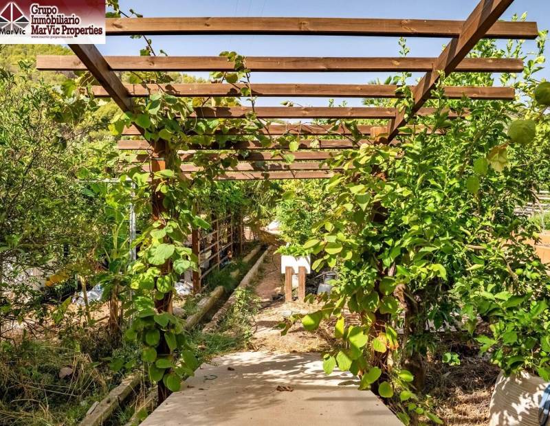 Vente - Appartement - Comunidad valenciana - Callosa d'en Sarrià