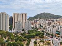 https://fotos15.apinmo.com/1156/30390405/3-12.jpg