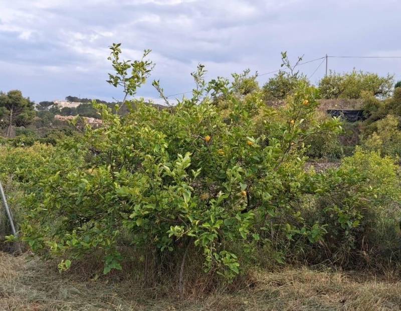 Продажа - участок без лицензии - La nucia - La Nucía