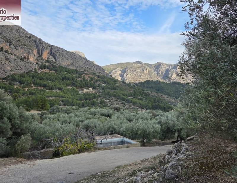 Sale - Plot of land - Beniarda