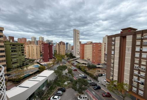 Estudio - Vente - Juzgados - Benidorm