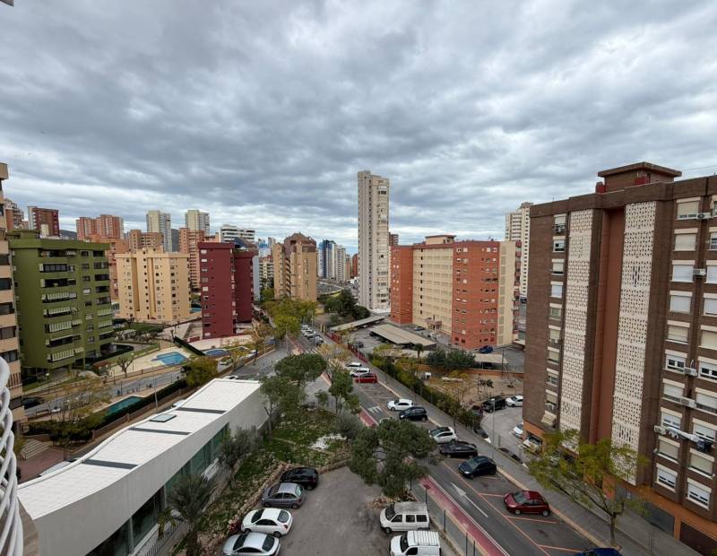 Venta - Estudio - Juzgados - Benidorm