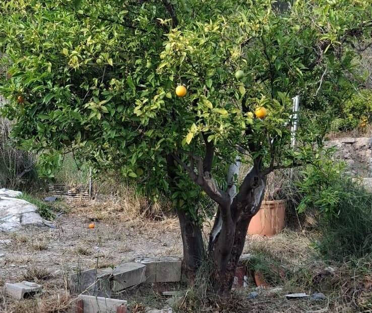 Продажа - участок без лицензии - La nucia - La Nucía