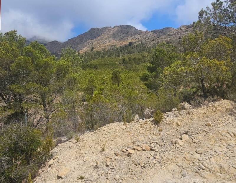 Продажа - участок без лицензии - Finestrat Pueblo - Finestrat