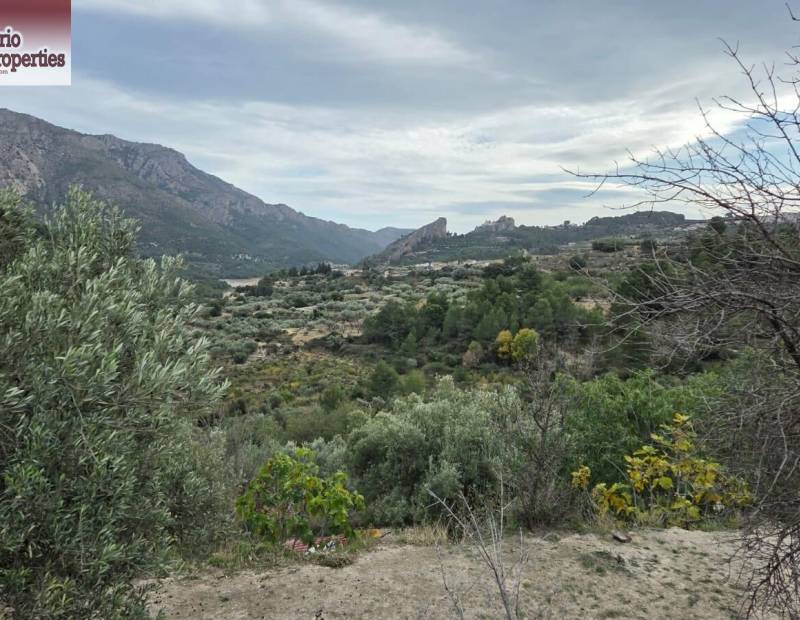 Sale - Plot of land - Beniarda