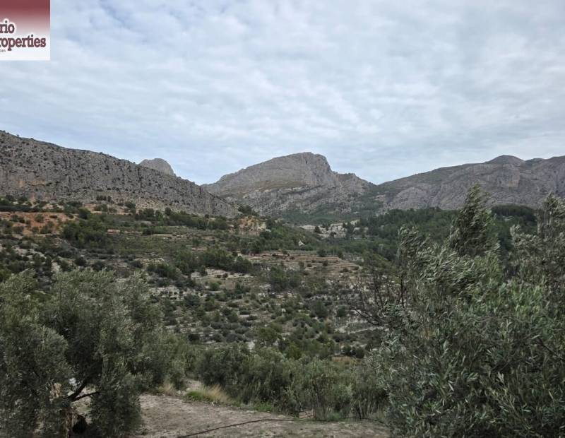 Sale - Plot of land - Beniarda