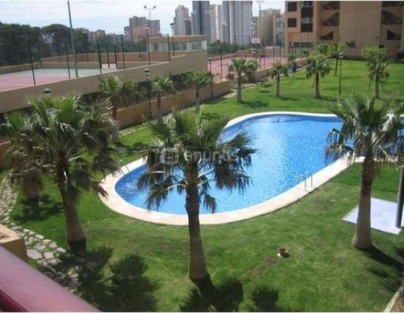 Sale - Apartment - Poniente - Benidorm