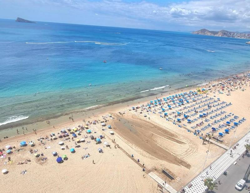 Venta - Estudio - Avenida del Mediterraneo - Benidorm