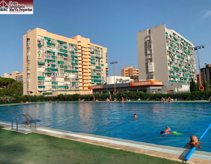 Vente - Studio - Juzgados - Benidorm