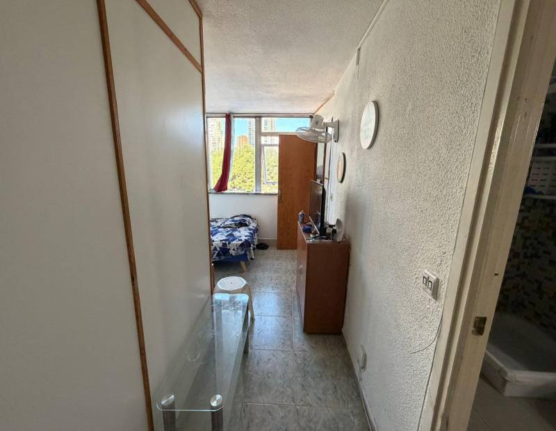 Vente - Studio - Levante - Benidorm