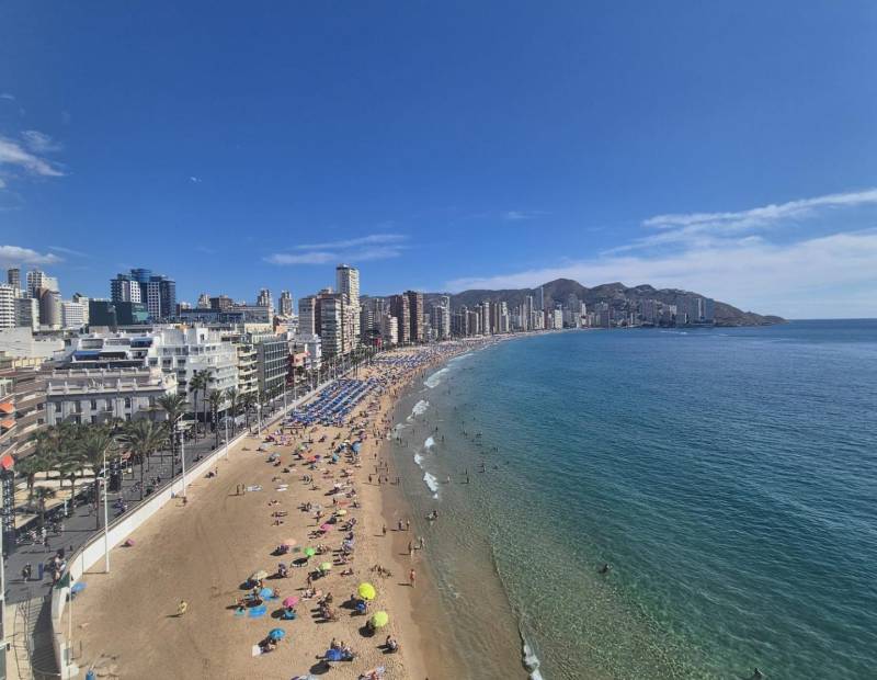Venta - Piso - 1ª Linea - Benidorm