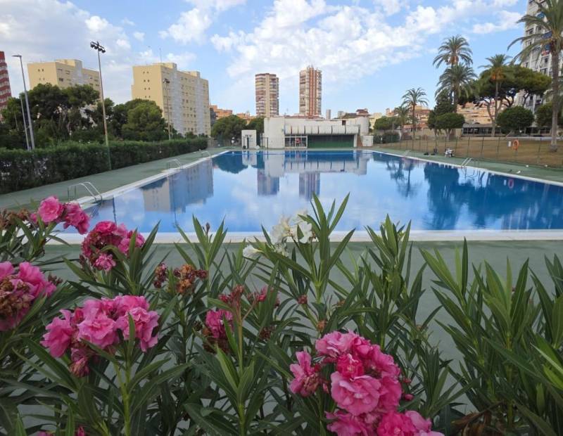 Sale - Apartment - Juzgados - Benidorm