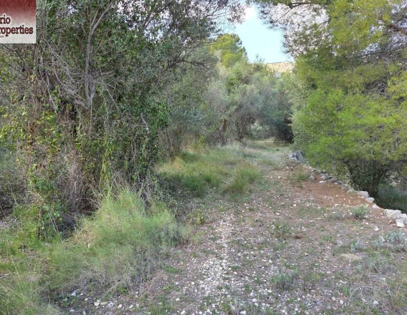 Sale - Plot of land - Beniarda