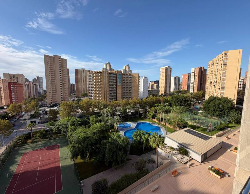 Venta - Apartamento - Juzgados - Benidorm