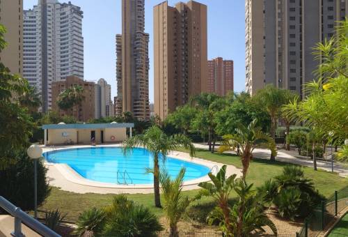 Piso - Vente - Nuevos Juzgados - Benidorm