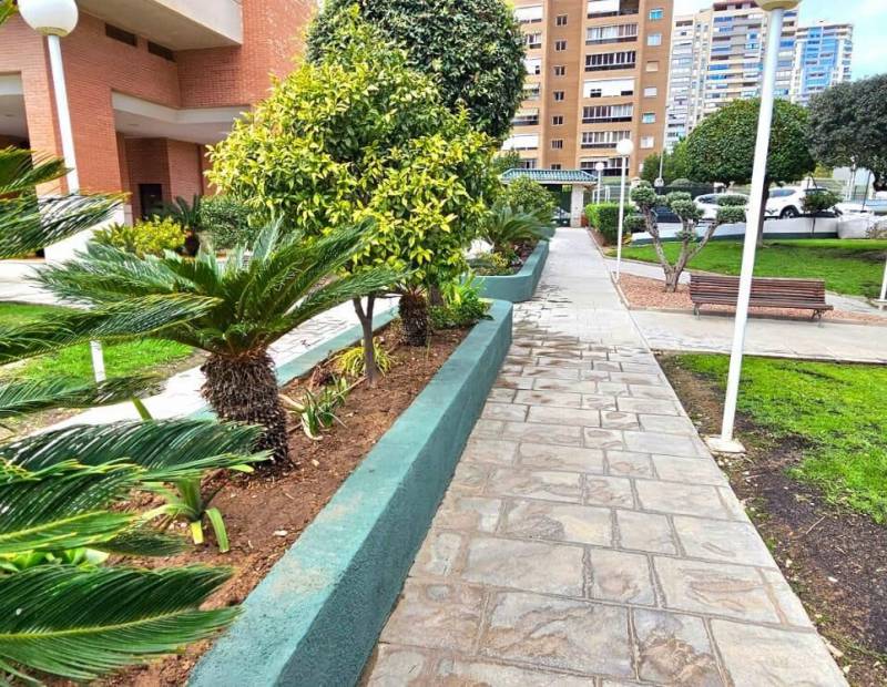 Sale - Apartment - Nuevos Juzgados - Benidorm