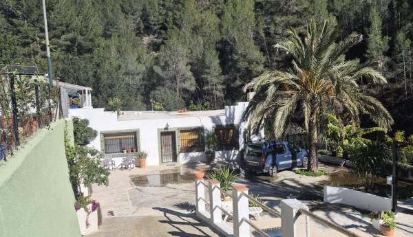 Propriété rurale - Vente - Campo - Bolulla