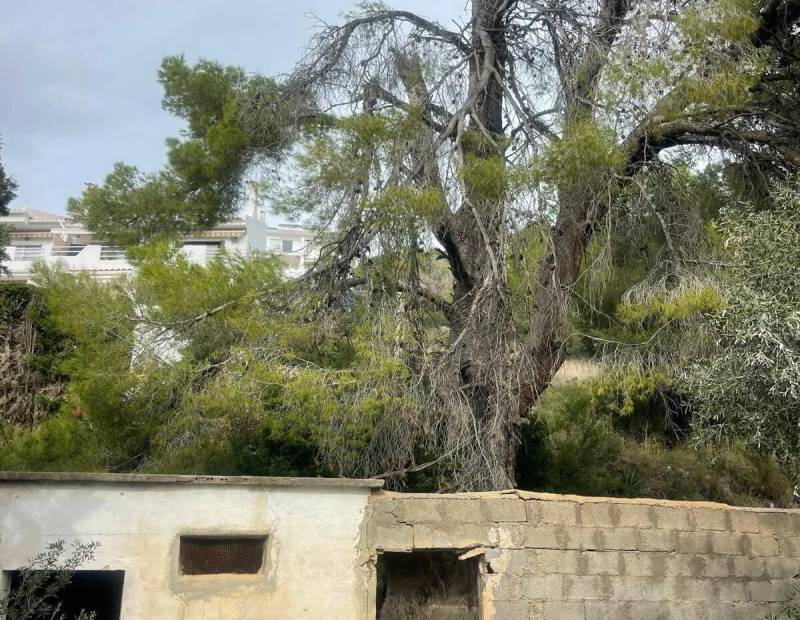 Продажа - Дом с земельным участком - Alfas del pi - l'Alfas del Pi