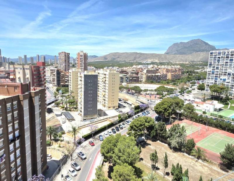 Venta - Apartamento - Juzgados - Benidorm