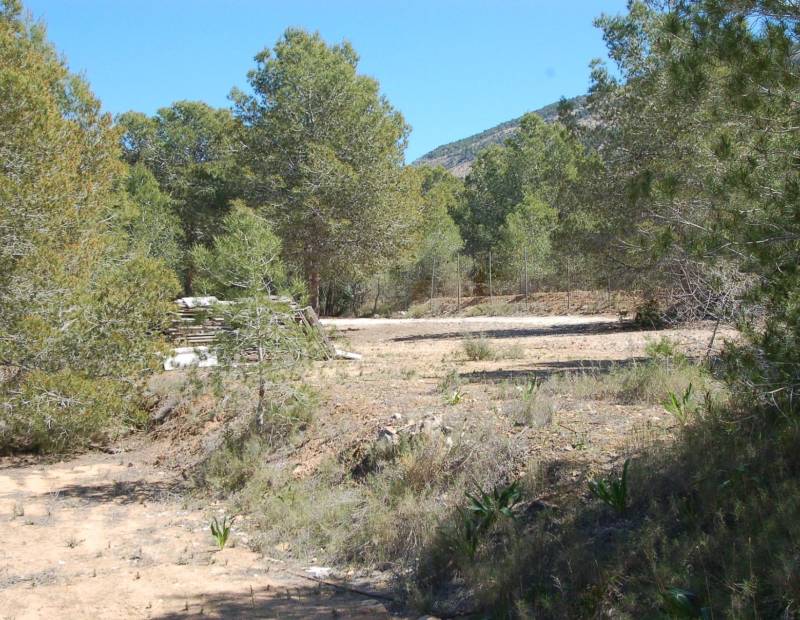 Sale - Rural Land - ALBIR-MONTAÑA - Alfaz del Pi