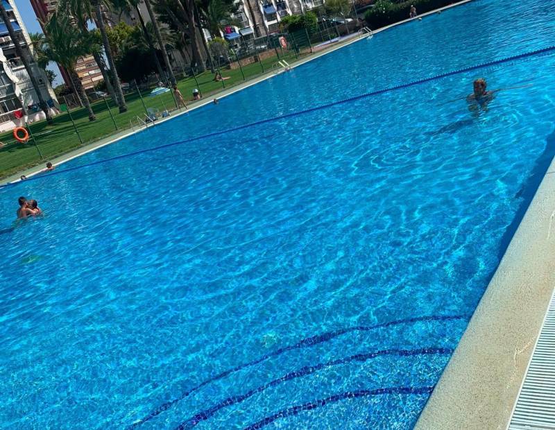 Vente - Studio - Juzgados - Benidorm