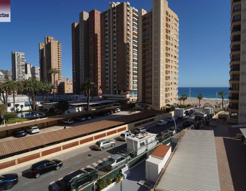 Alquiler - Piso - Levante - Benidorm