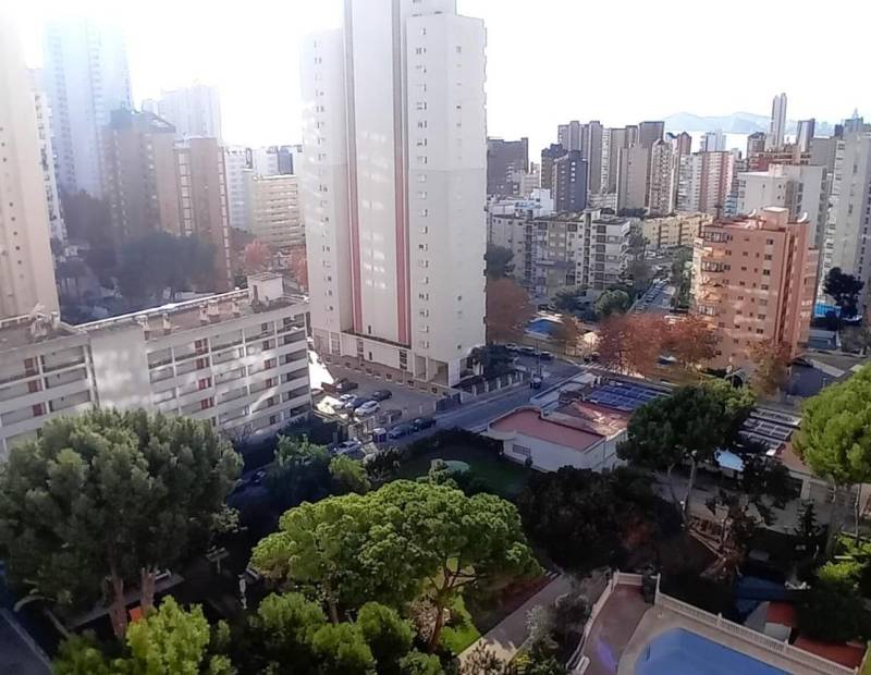 Venta - Piso - Rincón de Loix - Benidorm
