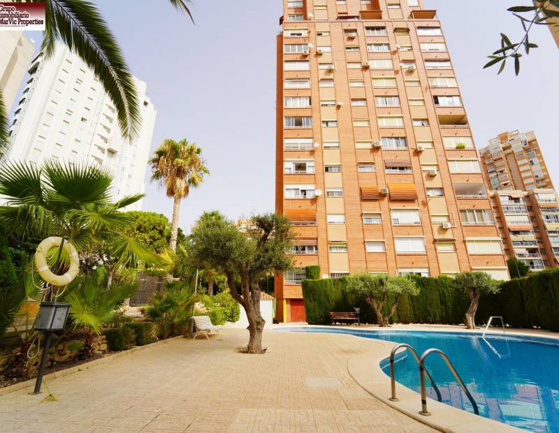 Vente - Appartement de ville - Nuevos Juzgados - Benidorm