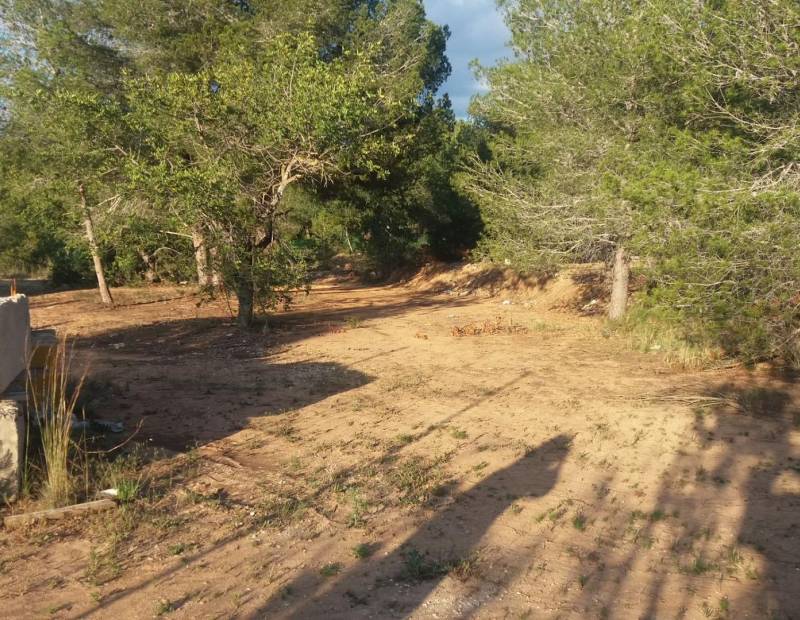 Sale - Rural Land - ALBIR-MONTAÑA - Alfaz del Pi