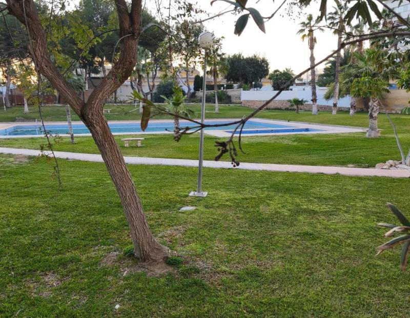 Sale - Flat - Hotel Bali - Benidorm