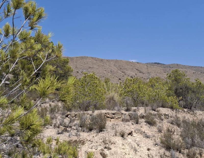 Продажа - участок без лицензии - Villajoyosa