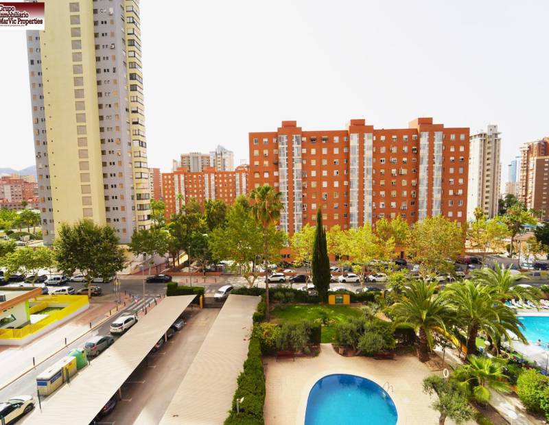 Vente - Appartement de ville - Nuevos Juzgados - Benidorm