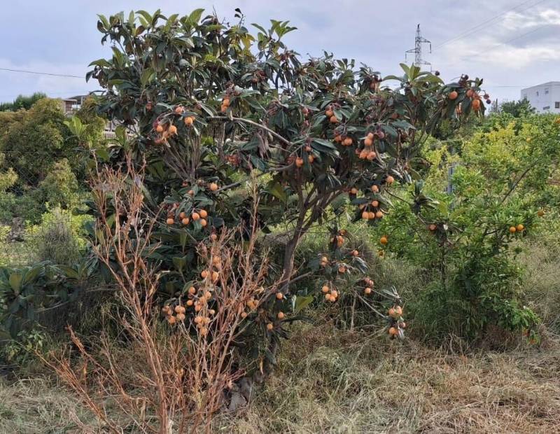 Продажа - участок без лицензии - La nucia - La Nucía