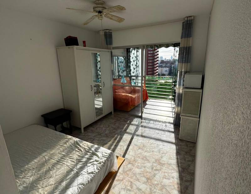 Vente - Studio - Juzgados - Benidorm