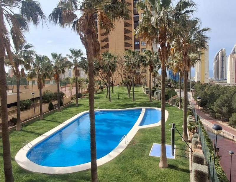 Alquiler - Apartamento - Via Parque - Benidorm
