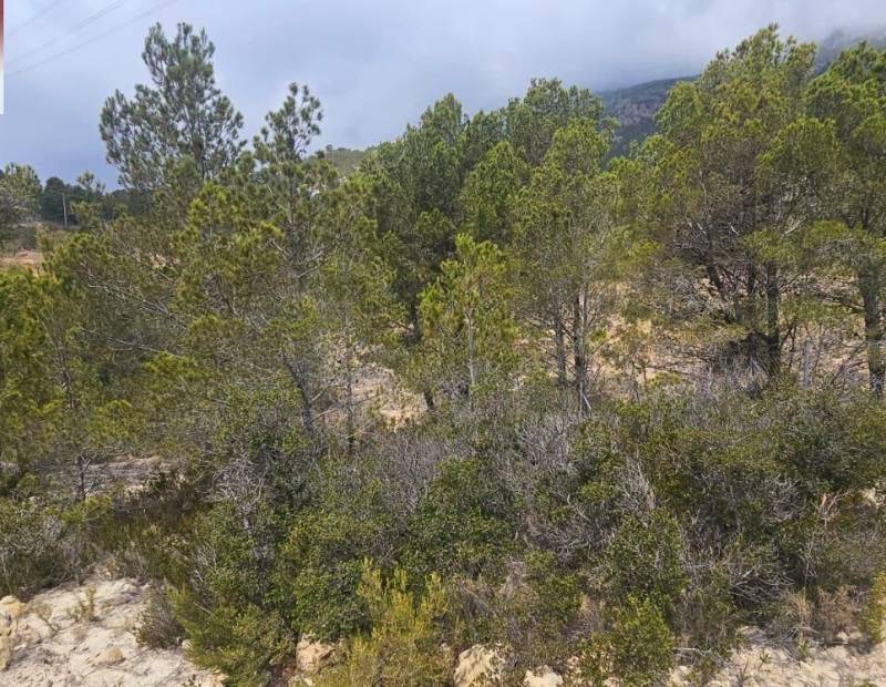 Продажа - участок без лицензии - Finestrat Pueblo - Finestrat