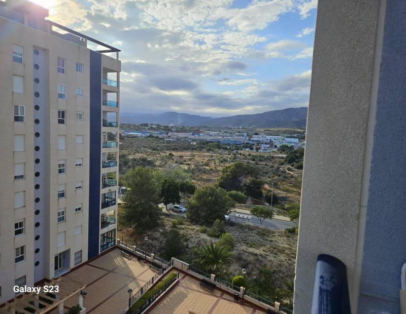 Alquiler - Piso - Platja de Torres - Villajoyosa