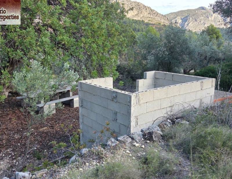 Sale - Plot of land - Beniarda