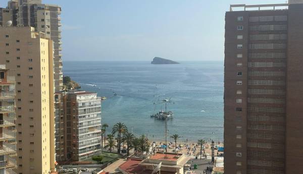 СТУДИИ - Продажа - Rincon de Loix Llano - Benidorm