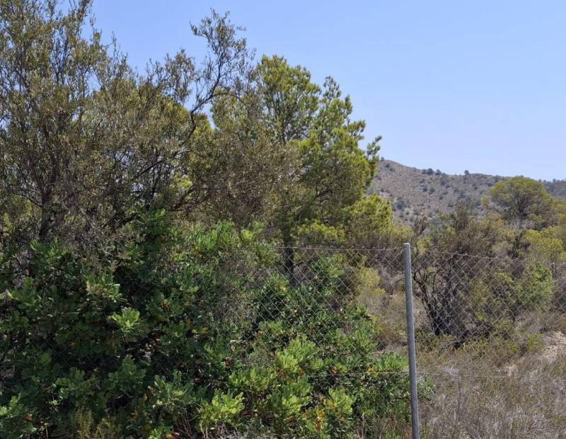 Продажа - участок без лицензии - Villajoyosa