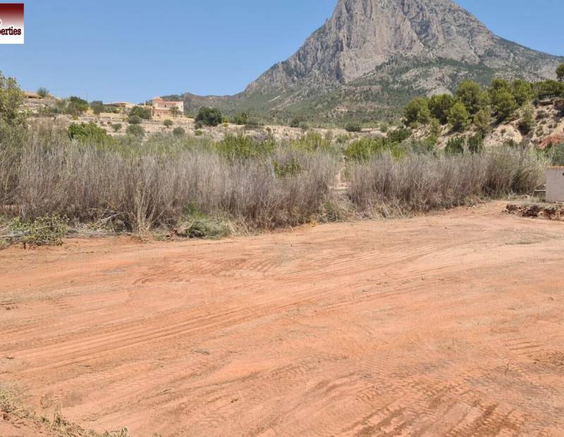 Vente - Terrain rural - Partida adzubia - Finestrat