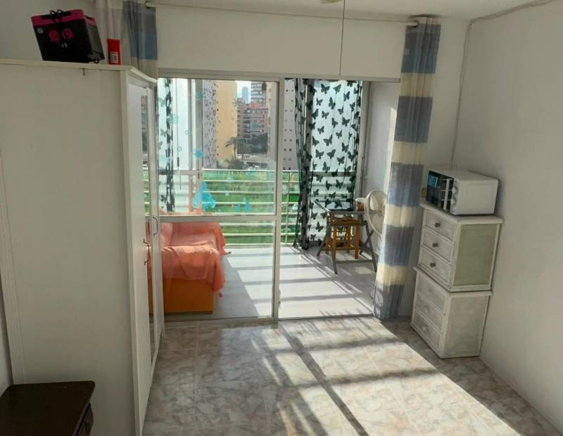 Vente - Studio - Juzgados - Benidorm