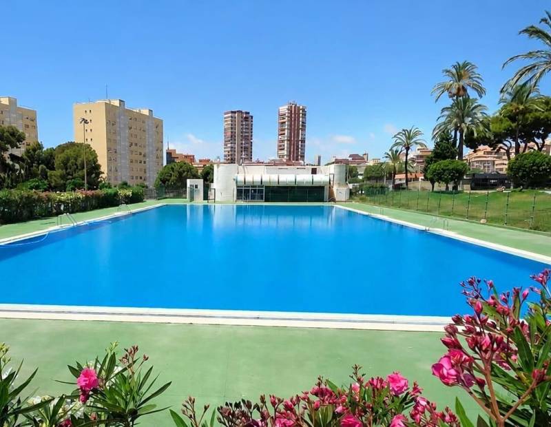 Продажа - АПАРТАМЕНТЫ - Juzgados - Benidorm