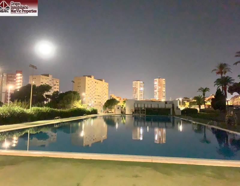 Vente - Studio - Juzgados - Benidorm