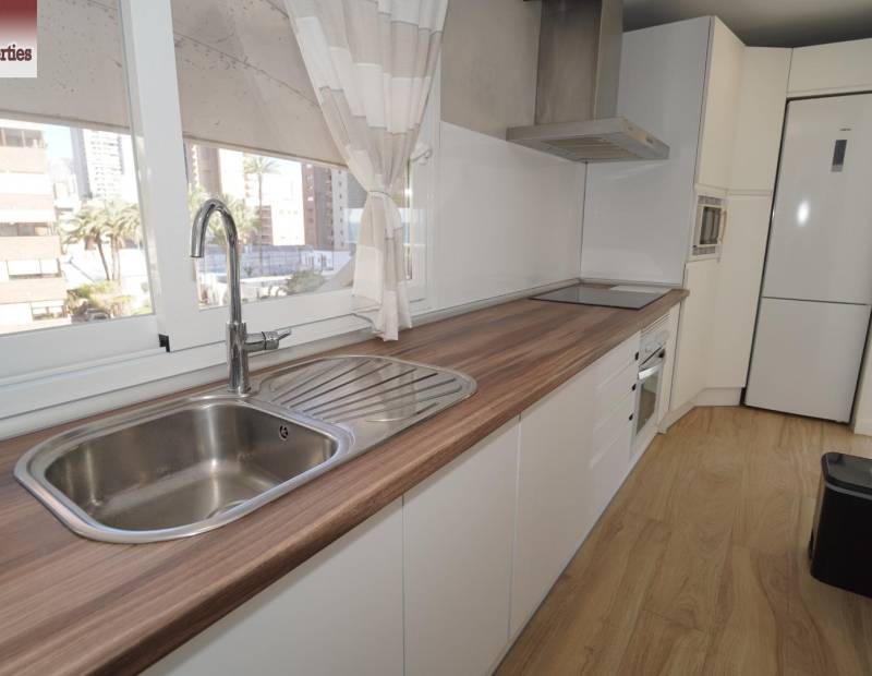 Rental - Flat - Avenida del Mediterraneo - Benidorm