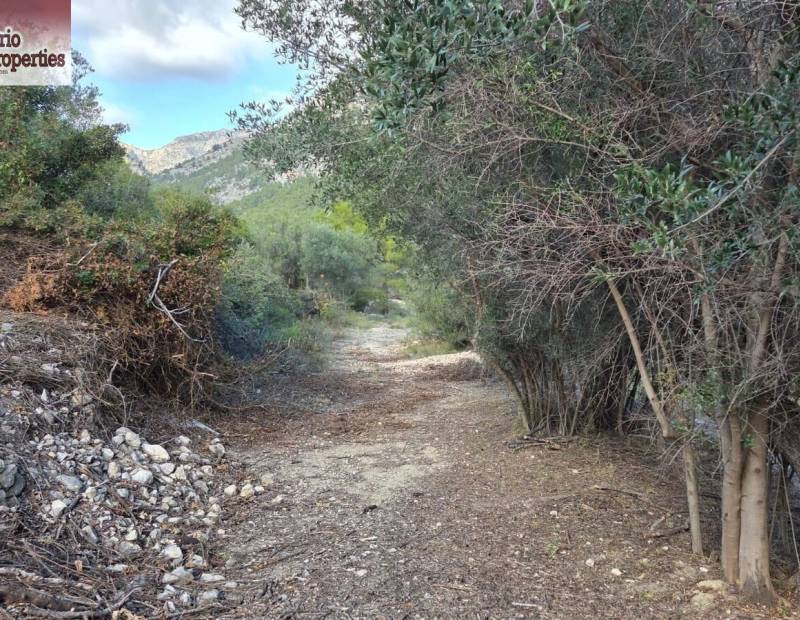 Sale - Plot of land - Beniarda