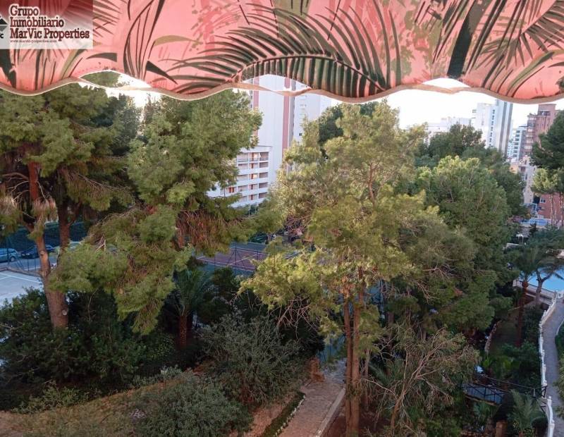 Venta - Estudio - Rincón de Loix - Benidorm