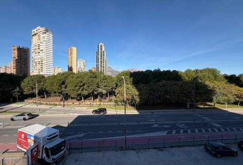 Estudio - Vente - Levante - Benidorm